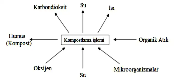 Kompost Nedir? Kompostlaştırma işlemi Nedir?